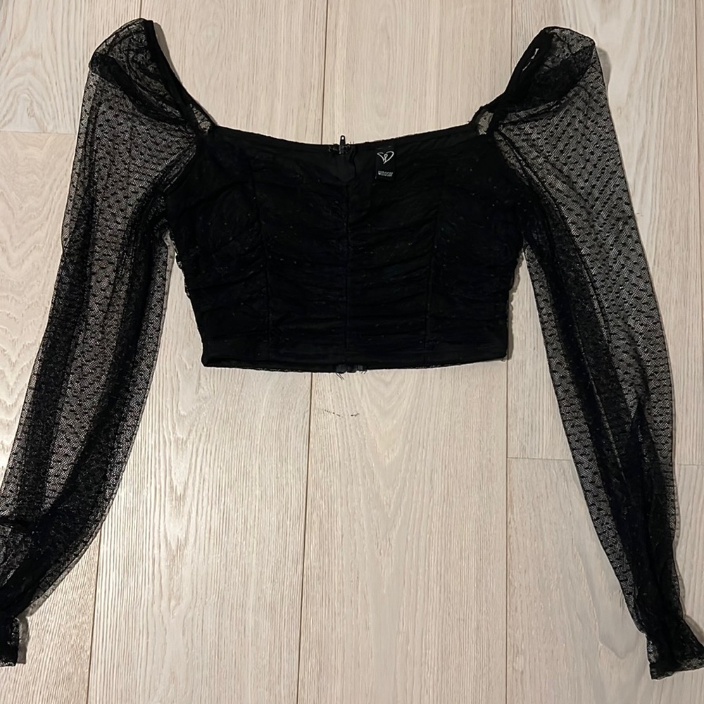 Mesh Long Sleeve Crop Shirt